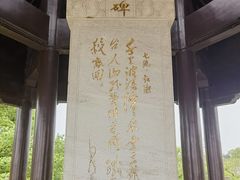 -观潮胜地公园