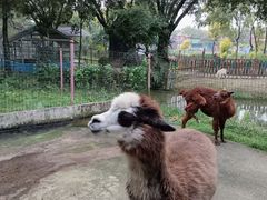 -广东花都香草世界旅游度假区