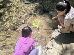 -白水寺森林公园