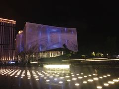 -南京眼步行桥