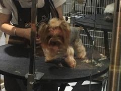 -Oh My Dog宠物沙龙(伊珊娜皮毛护理店)