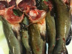 android_upload_pic-陆派巴倒烫火锅(城东店)