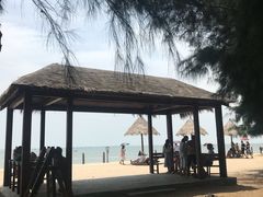 -北海金海湾红树林生态旅游区