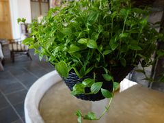 -瓦库茶馆17号(海汇港店)