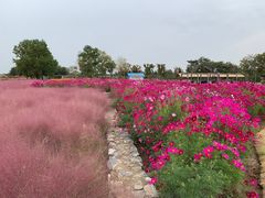 -江苏三台山国家森林公园