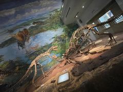 -自贡恐龙博物馆