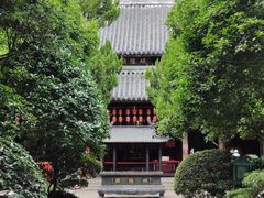 -秋霞圃