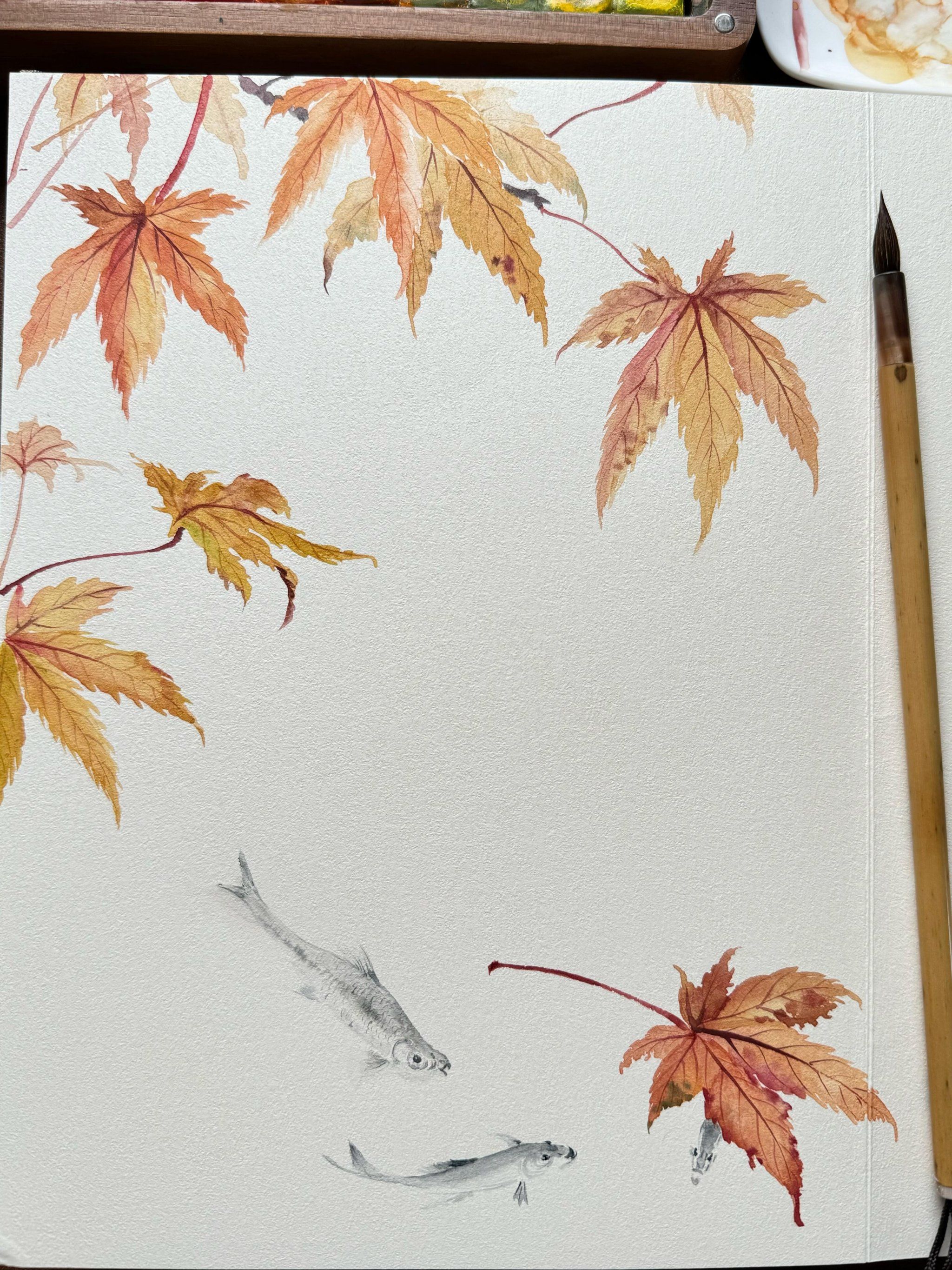 画枫叶🍁没骨画教程!很简单!