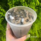 无锡探店｜苏宁负一楼的迷客夏上新品啦！！