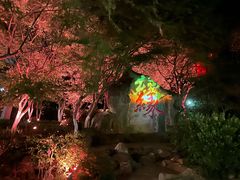 -杭州黄龙洞