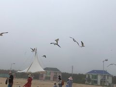 -海驴岛(荣成市)