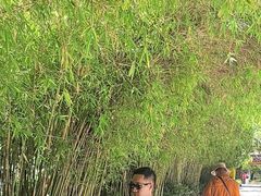 -罗布林卡