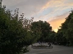 -太子山公园(园东路)