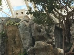 -香港海洋公园
