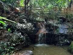 -滴水岩森林公园