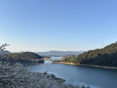 -广州市流溪河国家森林公园