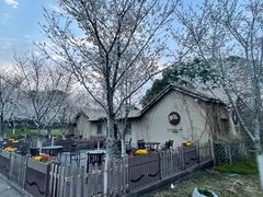 -太湖湖滨国家湿地公园-停车场