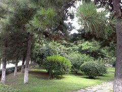 -辽宁大学(崇山校区)