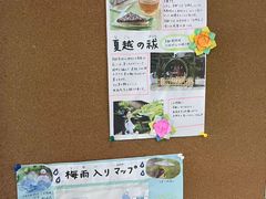 -樱花国际日语(徐家汇中心)