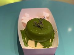 -狐狸和向日葵(北京路店)