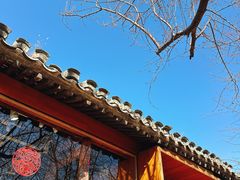 -春风习习