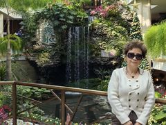 -广州白天鹅宾馆