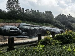 -三水森林公园