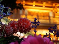 -大佛古寺