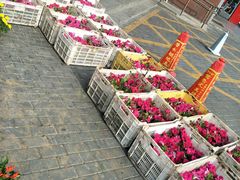 -拿渡麻辣香锅(管庄店)