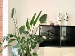 -设计共和 Design Republic