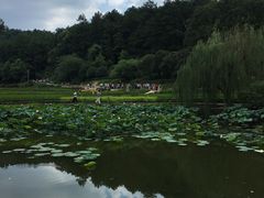 -韶山毛泽东同志故居