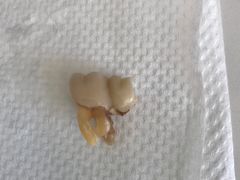 -欢乐口腔医院(顺义分院)