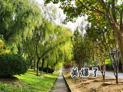 -永定河休闲森林公园