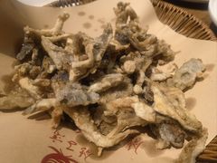 -鸽子窝(青塔店)