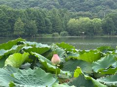 -长广溪湿地公园