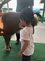 点击看大图 -萌宠亲子动物乐园(槐房万达店)