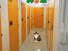 -猫库迷你自助仓储寄存仓库(丽泽桥店)