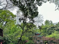 -岳麓山风景名胜区