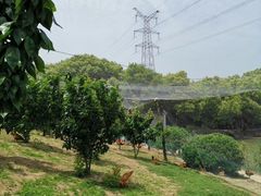 -亮河湾山庄
