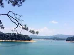 -广州市流溪河国家森林公园