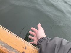 -西湖游船