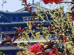 -济南大明湖景区