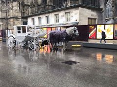 -斯蒂芬主教座堂(Stephansdom)