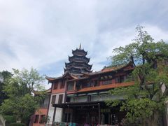 -铁山坪森林公园