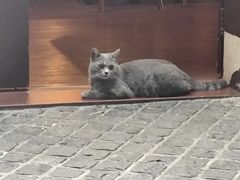 -猫岛主趣味餐厅(鼓浪屿店)