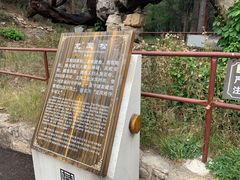-藏山旅游风景区