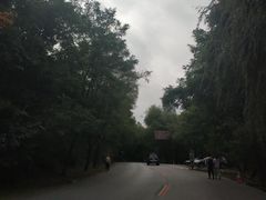 -棋盘山风景区