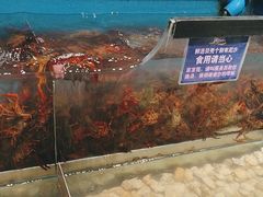 -遇上西雅图多融合海鲜自助餐厅(中房金谊广场店)