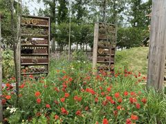 -前小桔亲子创意农场·草莓采摘·露营烧烤