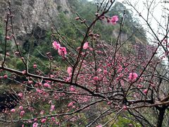-雁荡山风景名胜区